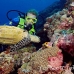turtle_green_er_h_0705_png1065.jpg